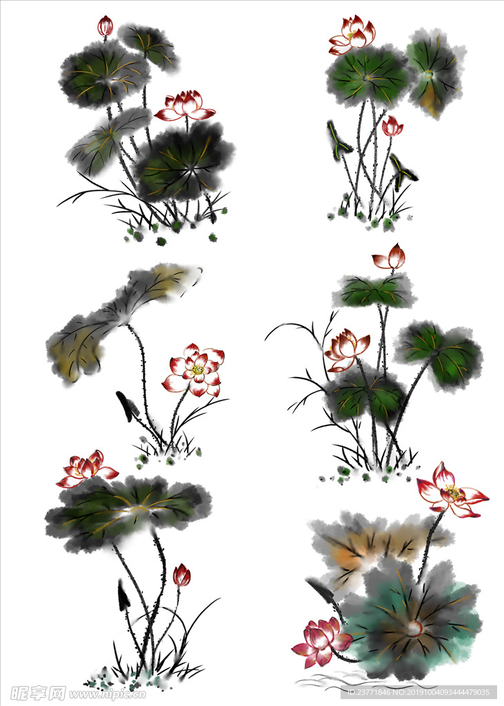 荷花素材