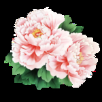 花朵