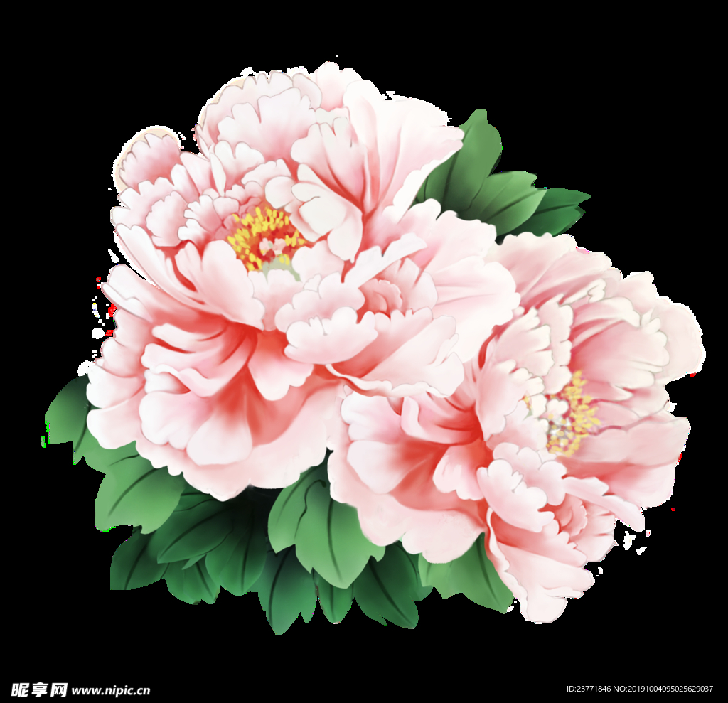 花朵