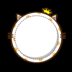 猫咪