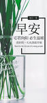 小清新早安