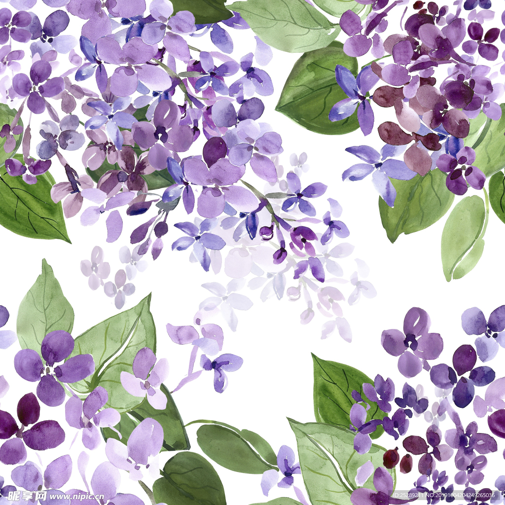 小清新紫罗兰蓝色葡萄花