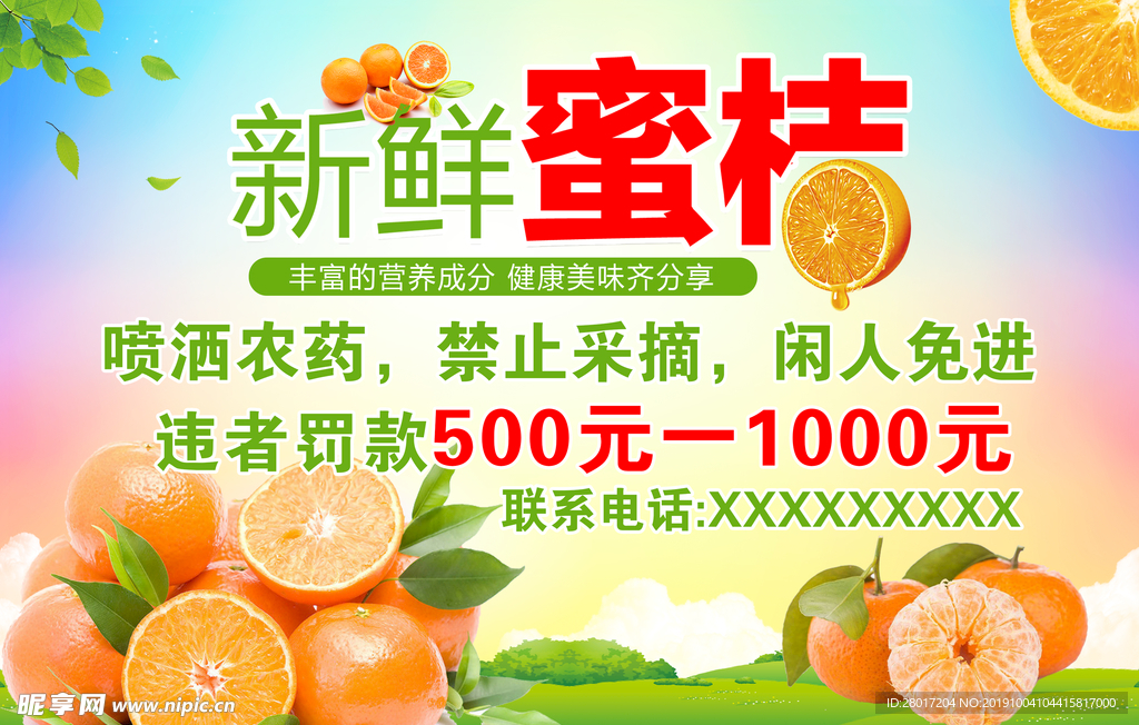 蜜桔