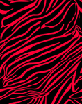 斑马纹