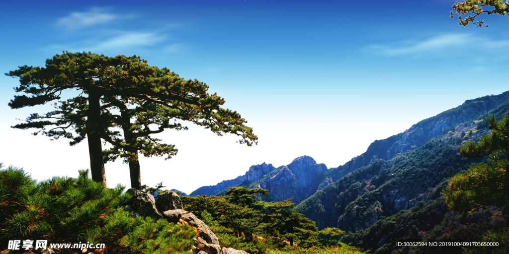 黄山迎客松