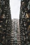 群居