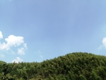 竹山