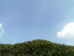 竹山