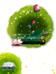 莲花背景