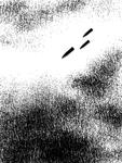 水墨画