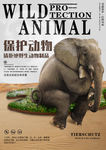 保护动物海报
