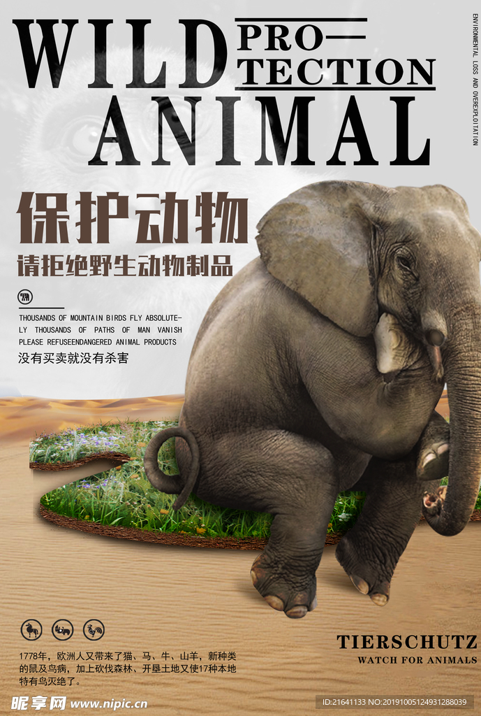 保护动物海报
