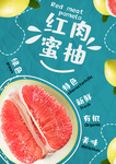 柚子海报