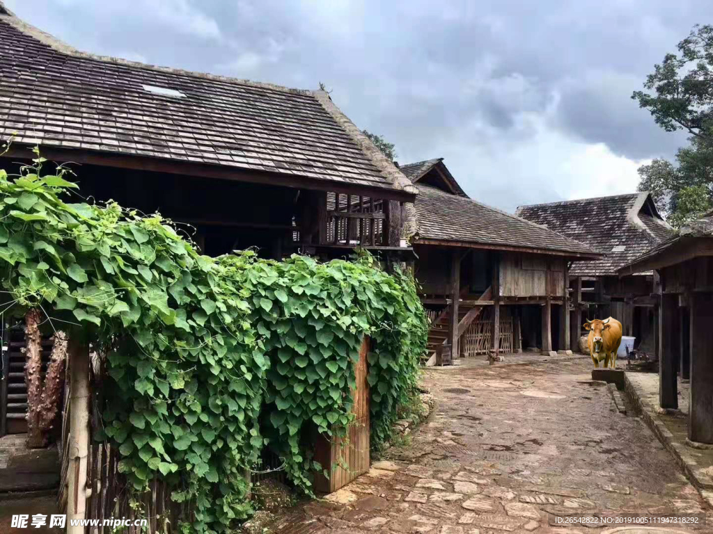 农家小院