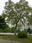 小区风景