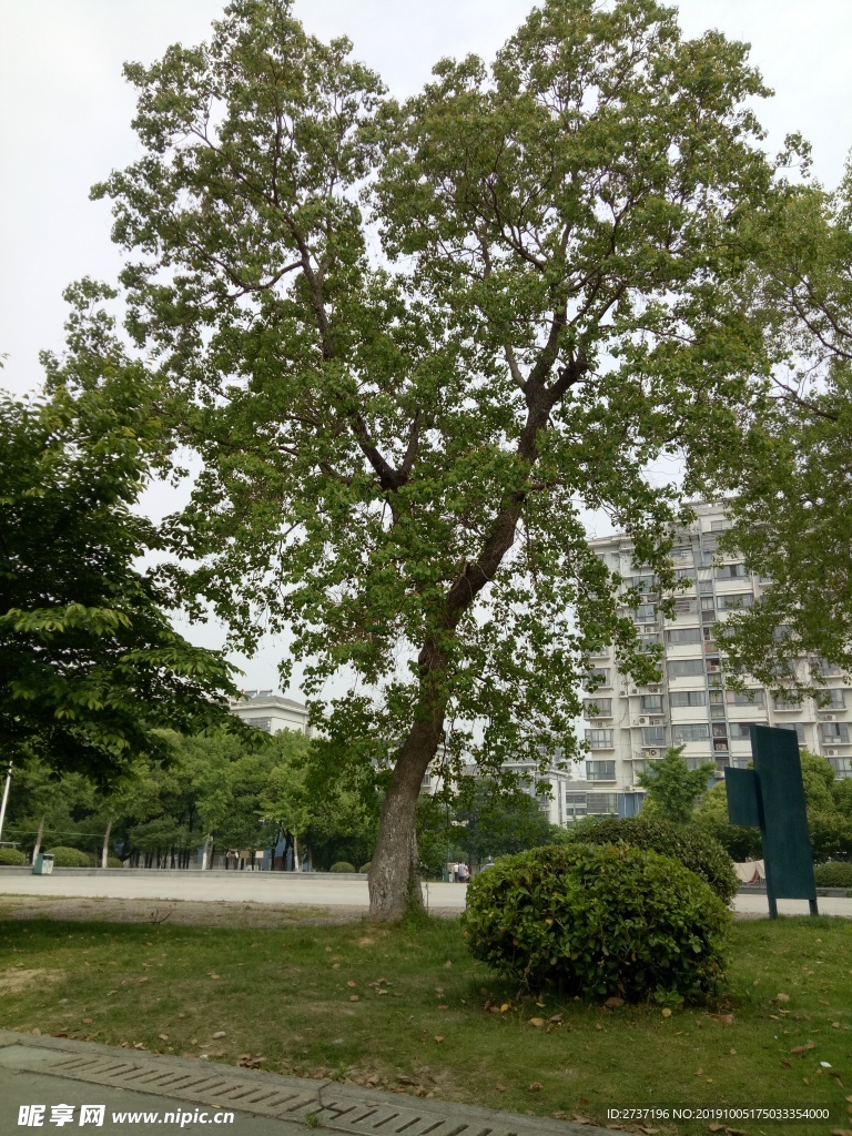 小区风景