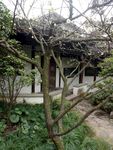 锡惠名胜区