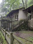 深山老林
