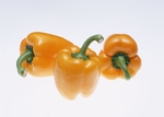 菜椒