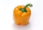 菜椒