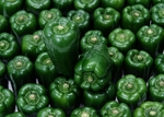 菜椒