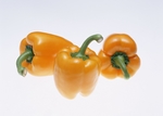 菜椒
