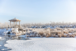 雪景