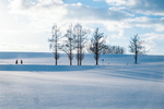 雪地