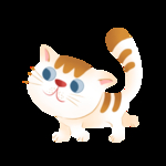 猫咪