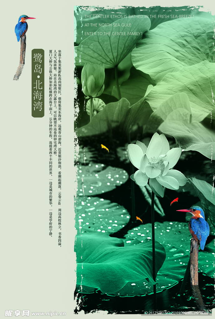 房地产海报