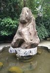 石头 大石头 装饰 园林
