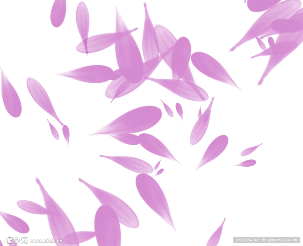 花瓣雨