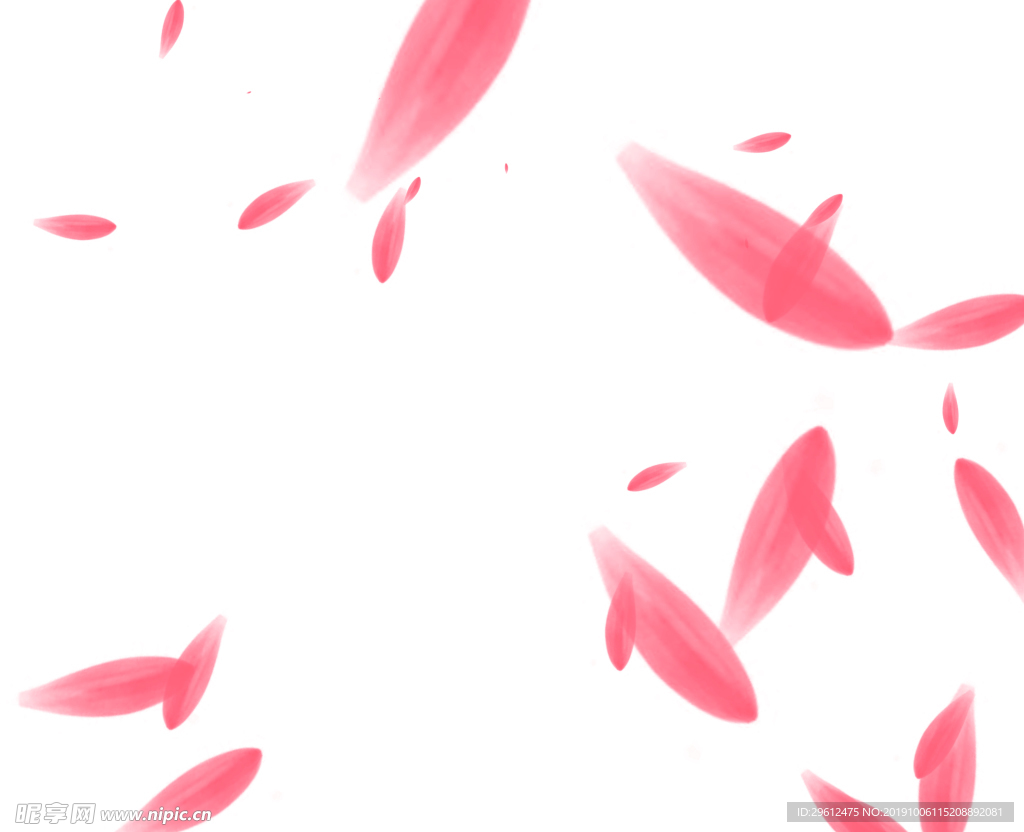 花瓣雨