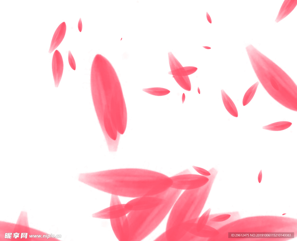 花瓣雨