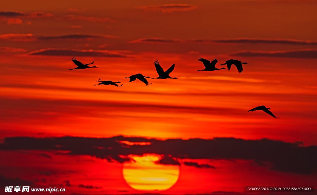 夕阳