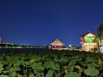 济南 大明湖 夜景