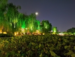 济南 大明湖 夜景