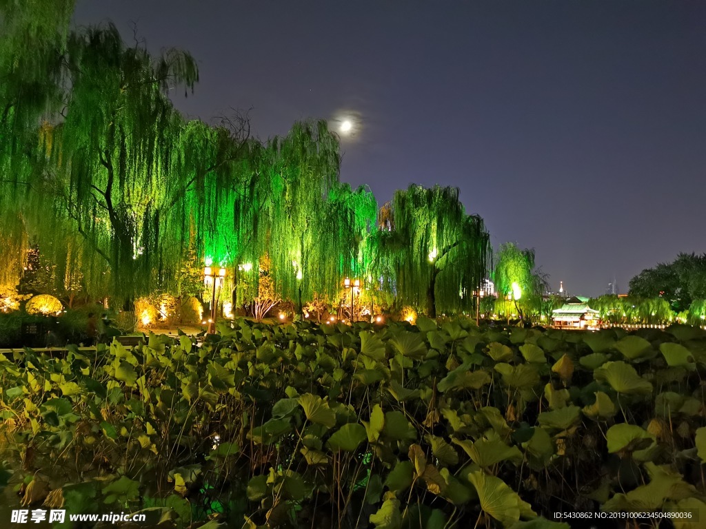 济南 大明湖 夜景