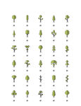 小树植物图标