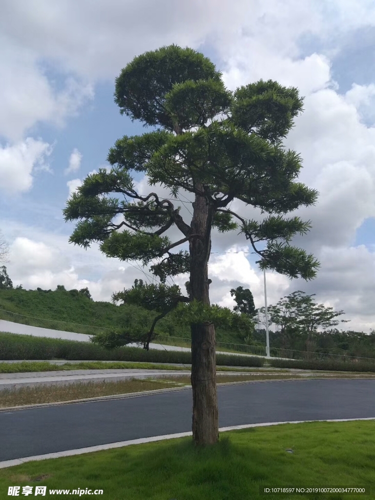 风景风光