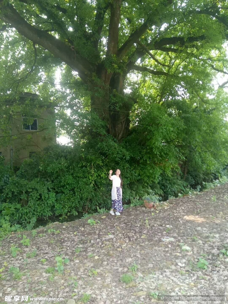 风景风光