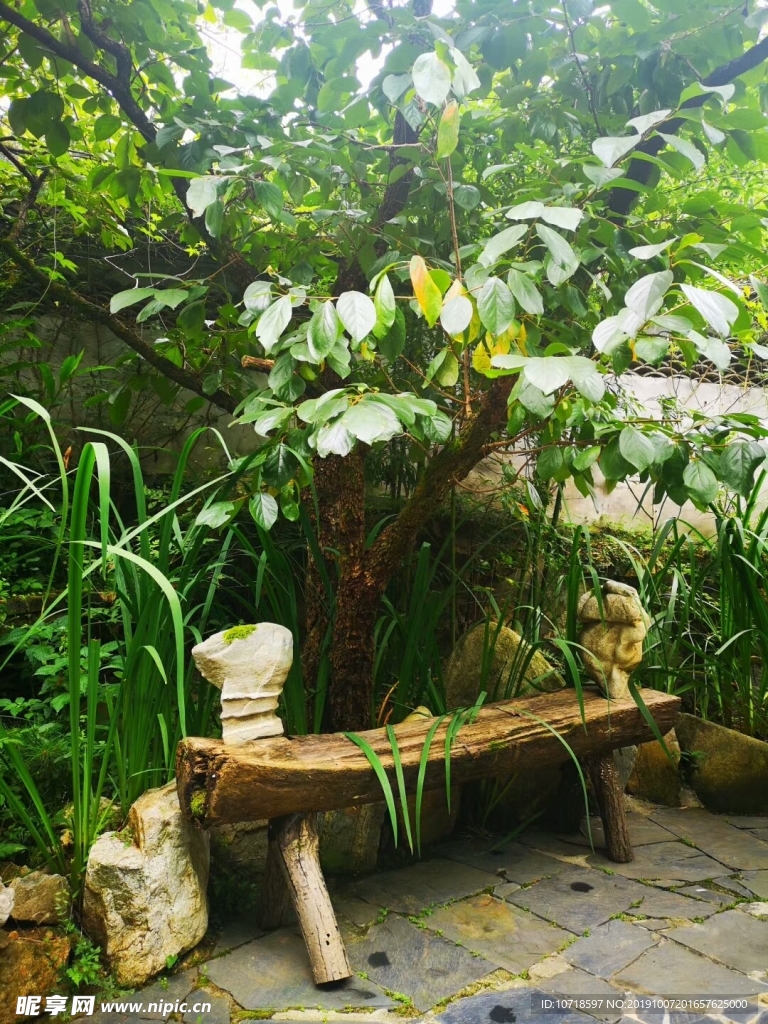 风景风光