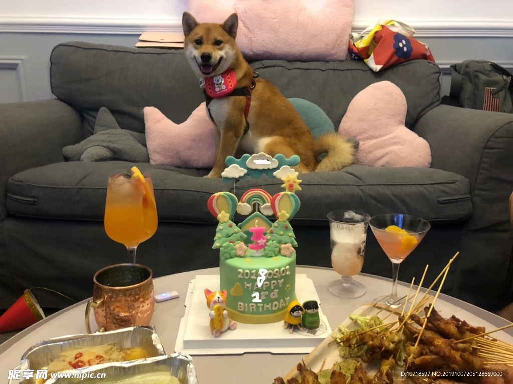 猫狗