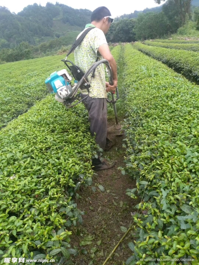 风景风光