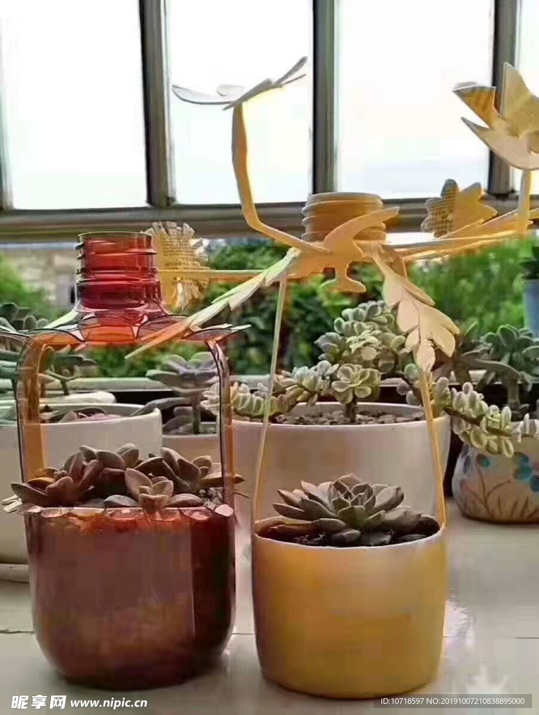 花卉