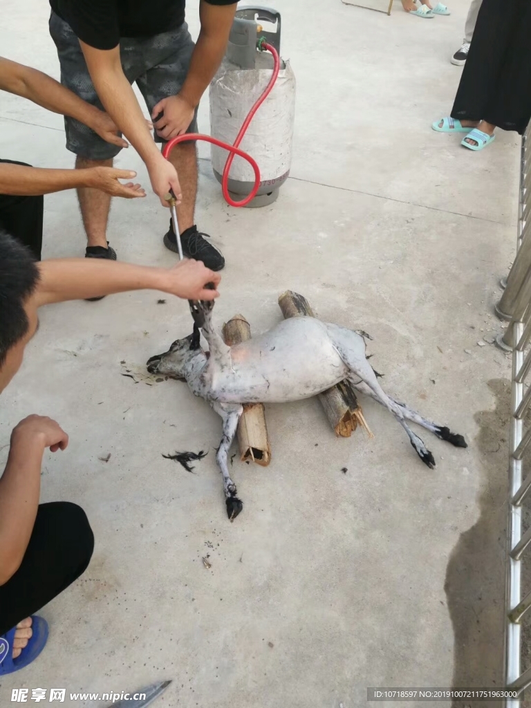 山羊肉
