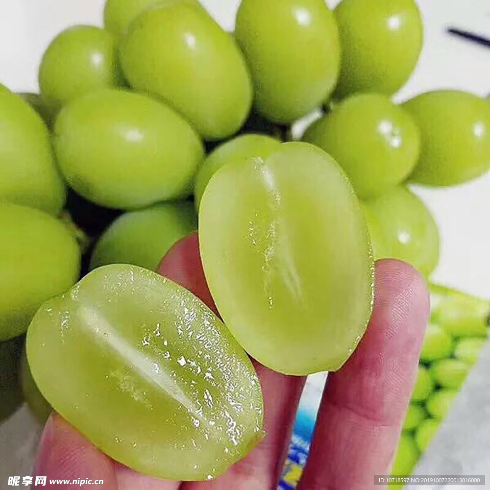 提子 葡萄