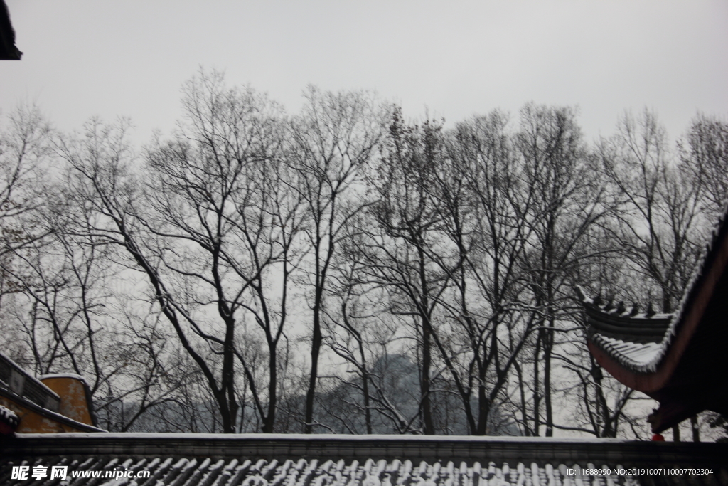 雪景枯树法喜寺