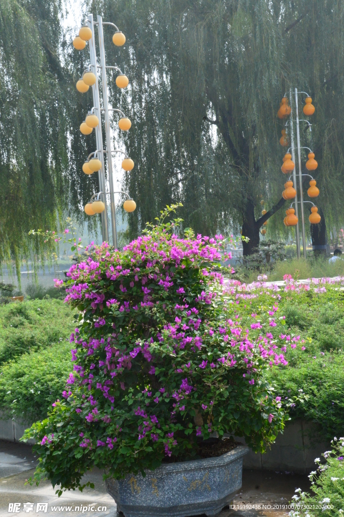 园林风景