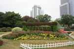 城市街心公园造型别致的绿植花坛